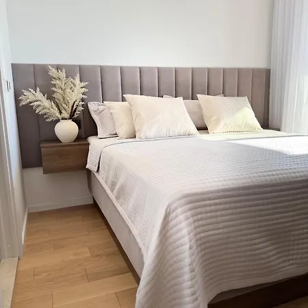 Luxury L With Jacuzzi Apartment